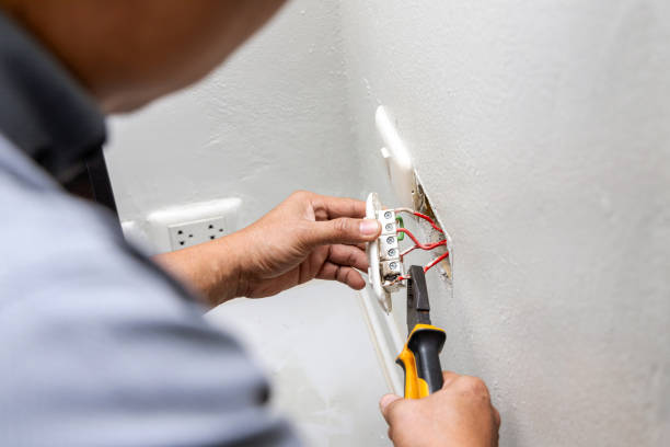 Best Electric Panel Repair  in Dermott, AR